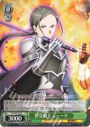  SAO/S80-048 C 整合騎士 シェータ 
