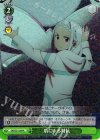  SAO/S51-044 R 盾による対抗 
