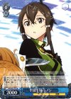 SAO/S51-074 R 半信半疑 シノン