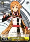 SAO/S51-101 PR 2年ぶりの対面 アスナ