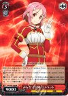  SAO/S47-108 RR みんなで冒険 リズベット 