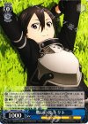  SAO/S47-113 R 戦いの後 キリト 