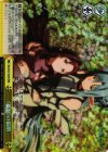  SAO/S47-023R RRR 《絶剣》の最期 