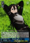  SAO/S47-113R RRR 戦いの後 キリト 