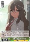  SBY/W64-T01 TD 残酷な仮説 双葉 理央 