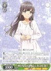  SBY/W64-029 R 神出鬼没のお姉さん 牧之原 翔子 