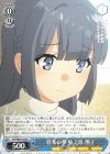  SBY/W77-075 R 将来の夢 牧之原 翔子 