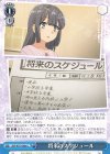  SBY/W77-096a U 将来のスケジュール 