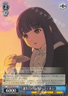  SFN/S108-102 C 誕生日のお祝い フェルン 