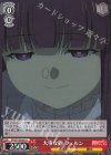 SFN/S136-061 U 大事な物 フェルン