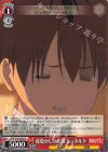 SFN/S136-063 U 夜更かしの代償 シュタルク