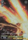 SFN/S136-013S SR★ パーティーの前衛 アイゼン