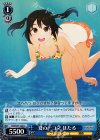  SGS/S37-122 U 夏の一コマ ほたる 