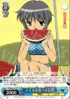 SY/W08-T13 TD スイカを食べる長門