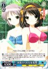  SY/W08-T14 TD 水着のハルヒ&長門 