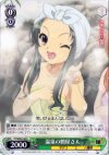 SY/W08-030 R 温泉の鶴屋さん