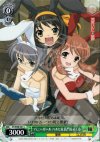  SY/W08-041 C バニーガール ハルヒ&長門&みくる 