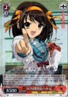 SY/W08-052SP SP SOS団団長ハルヒ(サイン入り)