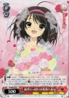  SY/W08-063 C 両手いっぱいの花束ハルヒ 