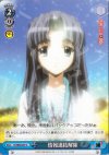  SY/W08-097 C 情報連結解除 