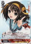  SY/W08-104 PR 好奇心ハルヒ 