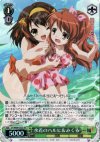 SY/W08-032S SR 水着のハルヒ&みくる