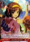 SY/WE09-19b S-C エンドレスエイト(ホロ)