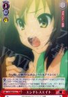 SY/WE09-19c C エンドレスエイト