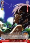 SY/WE09-19h C エンドレスエイト
