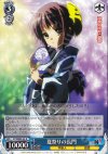  SY/WE09-24 R 夏祭りの長門 