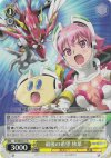 SK/WE05-01 R 最後の希望 秋葉