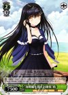 SMP/W60-P01 PR “海賊船を探すお嬢様”鴎