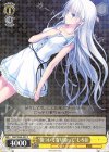  SMP/W60-007 R “傷ついて寄り添って”しろは 