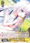  SMP/W60-008 R “お互いの場所”しろは 