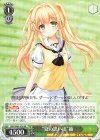 SMP/W60-026 RR “夏の思い出”紬