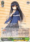 SMP/W60-027 RR “夏の思い出”鴎