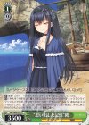  SMP/W60-035 U “思い出した記憶”鴎 