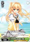  SMP/W60-037 C “やりたいこと探し”紬 