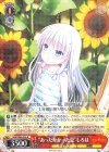  SMP/W60-056 R “あったかかった夏”しろは 