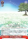  SMP/W60-071 U ゆりかごの向こう側へ 