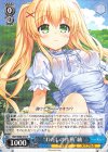 SMP/W60-079 R “わたしの作戦”紬
