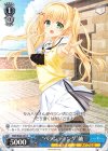 SMP/W60-081 R “べランディング”紬