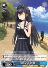 SMP/W60-093 C “青いのは空”鴎