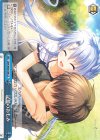 SMP/W60-098 CR 記憶のおもみ