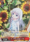 SMP/W60-056S SR “あったかかった夏”しろは