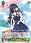  SMP/W82-033 R “まぶしさの向こう側へ” 鴎 