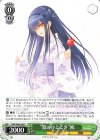  SMP/W82-043 C “夏のひととき” 鴎 