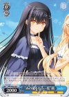  SMP/W82-093 C “あの夏をもう一度” 鴎 