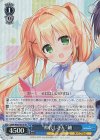 SMP/W82-081S SR “仲良しさん” 紬 
