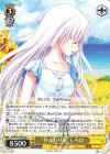 SMP/W130-025 C “ひまわり畑”しろは